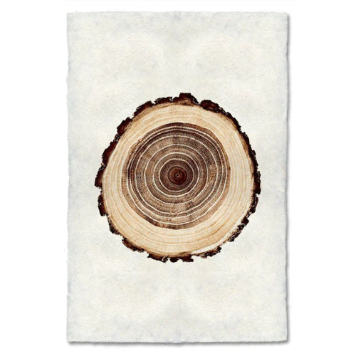 paper print wall art framed nature organic oak tree
