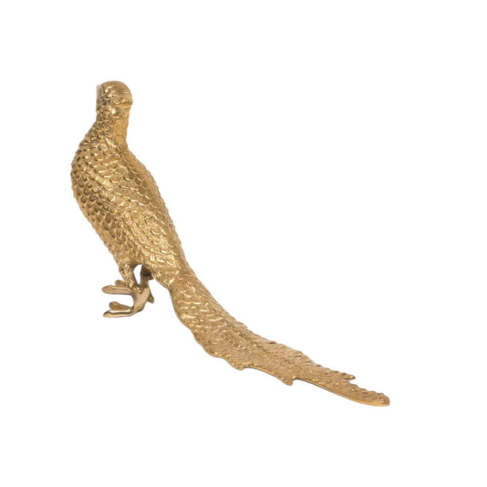 brass pheasant