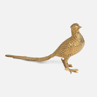 brass pheasant