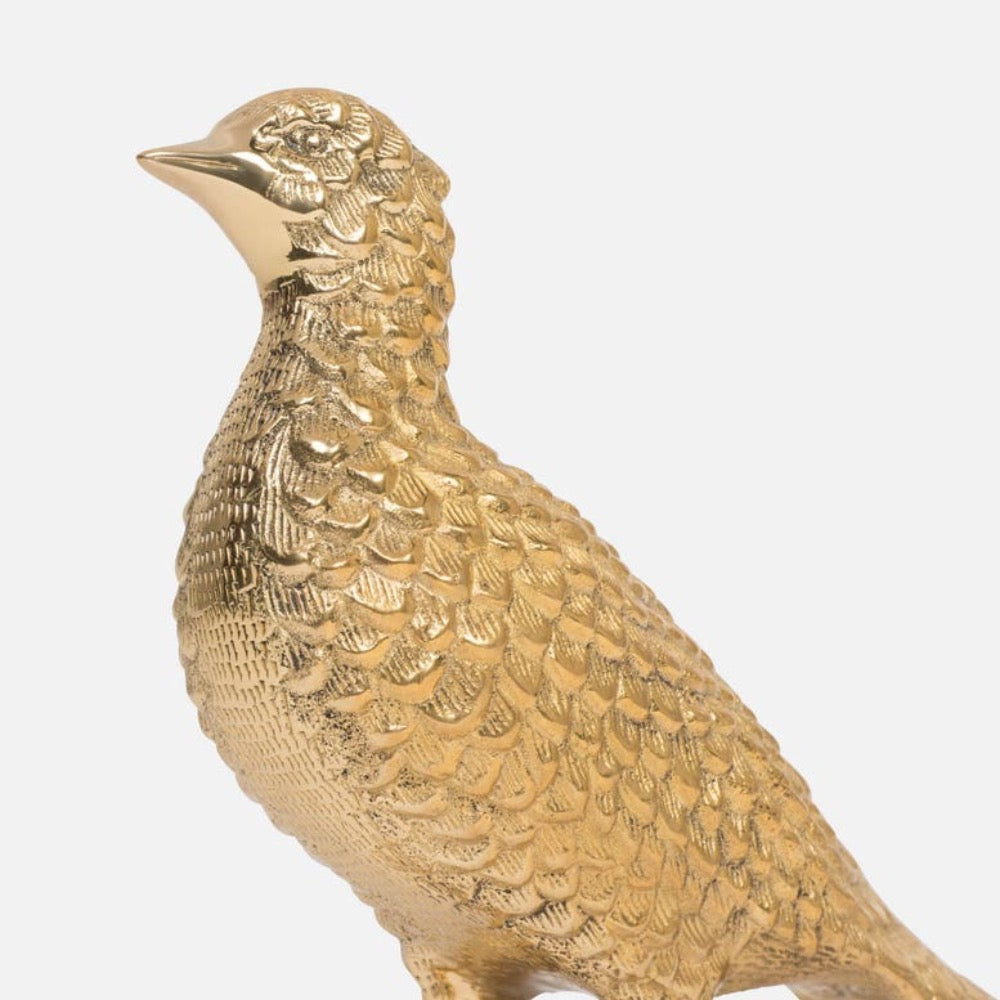brass pheasant