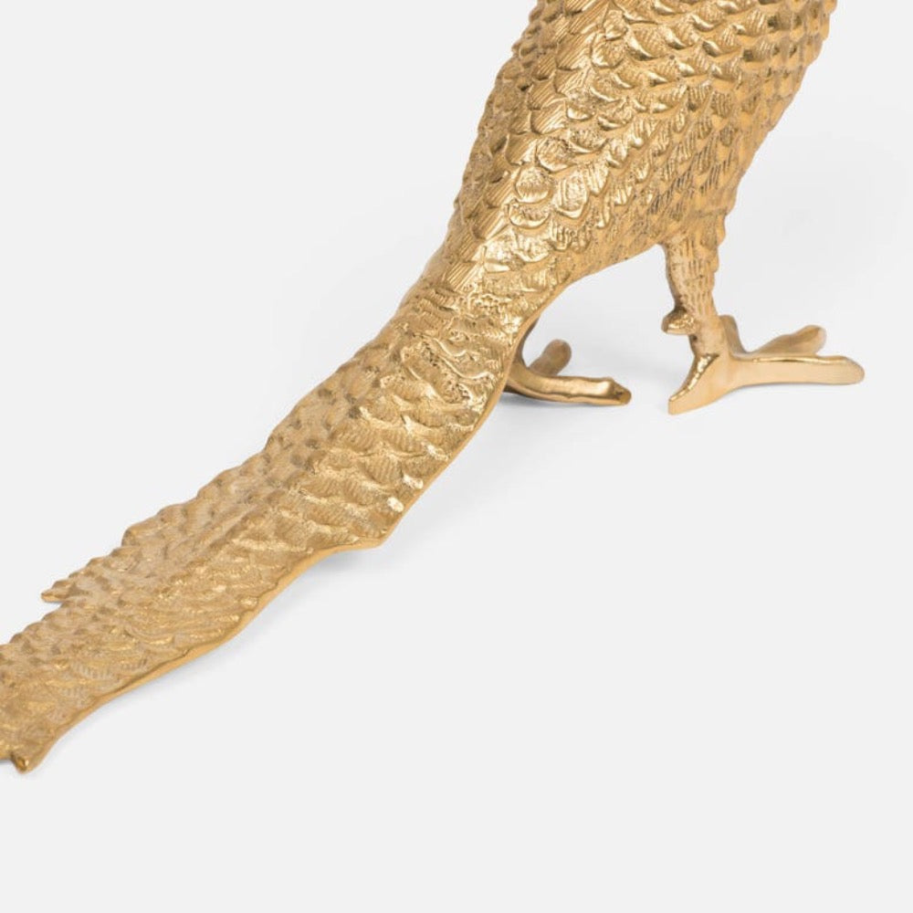 brass pheasant