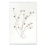 photography petal plant handmade paper