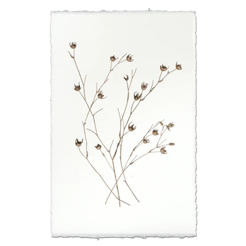 photography petal plant handmade paper
