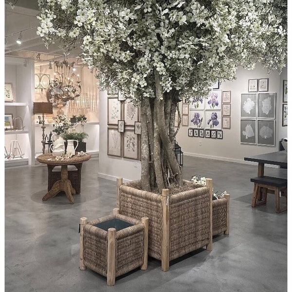rattan planter