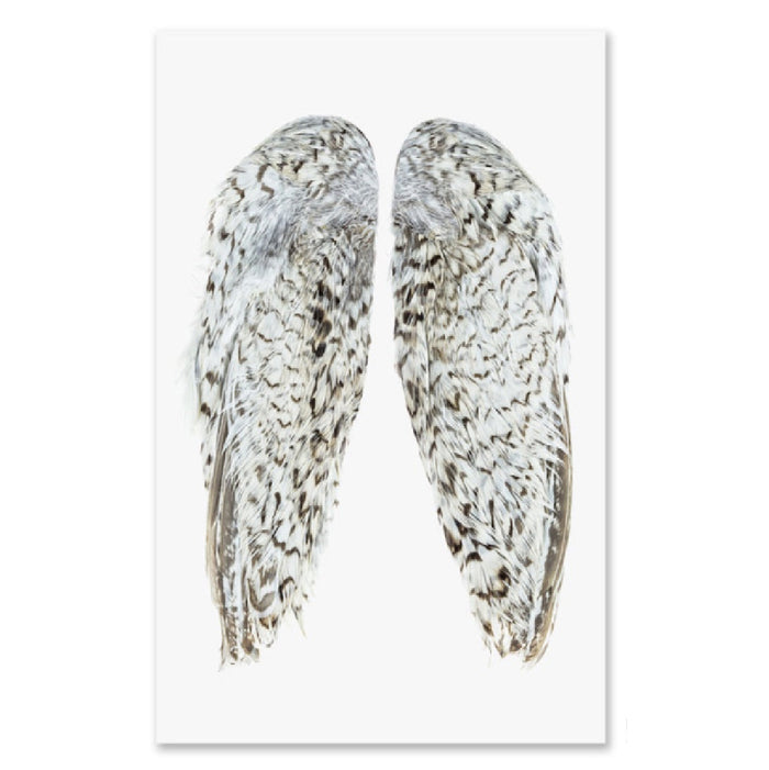 large photography art snowflake quail wings grand
