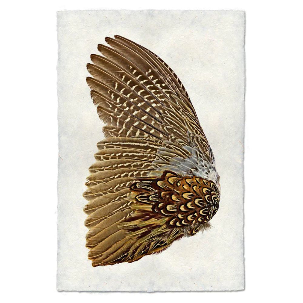 left facing pheasant feathers  gold brown wall art