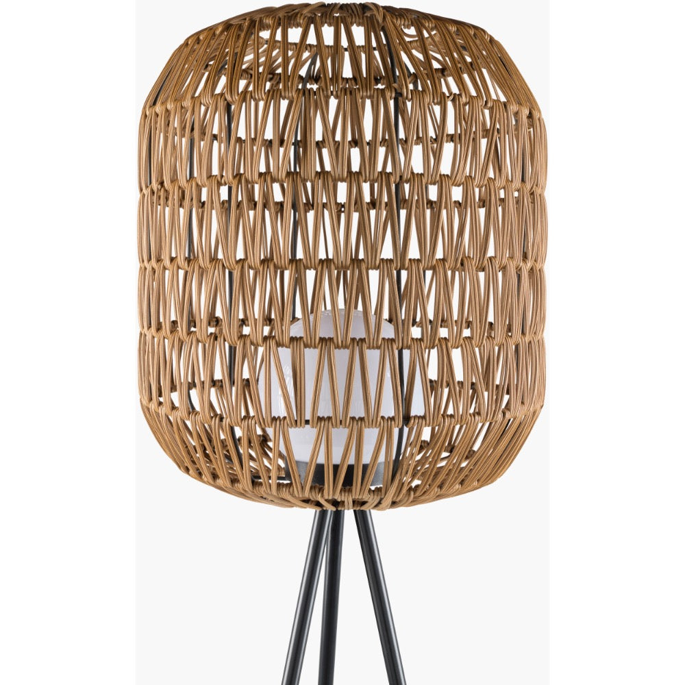 rattan shade black base accent floor lamp 