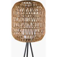 rattan shade black base accent floor lamp 