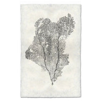 photography art handmade paper sea fan