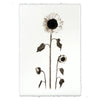 Black White Sunflowers Photography on Handmade Paper