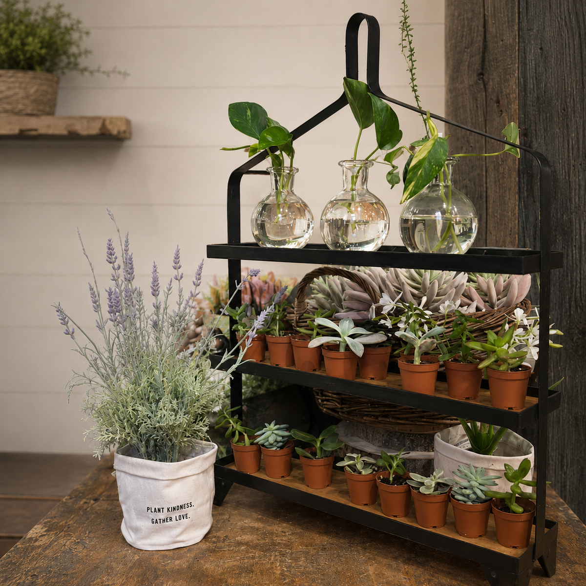 The Sugarboo & Co. Three Tiered Metal Display holds succulents and vases; a lavender plant sits nearby.