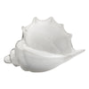 white glass conch shell hand blown glass