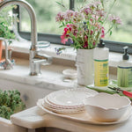 white scalloped melamine soup cereal bowls