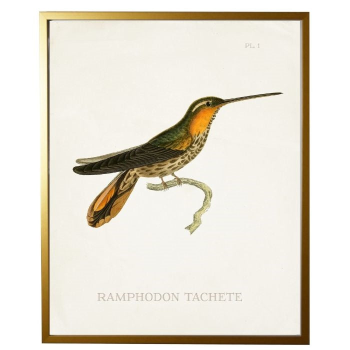 right facing hummingbird wall art
