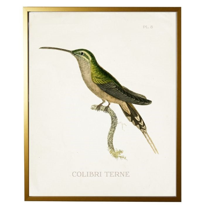 left facing hummingbird wall art