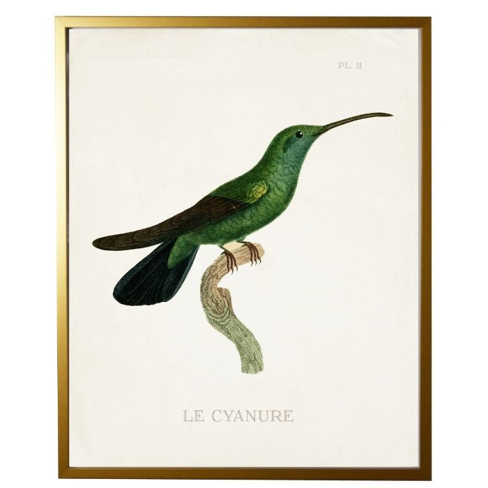 right facing hummingbird wall art