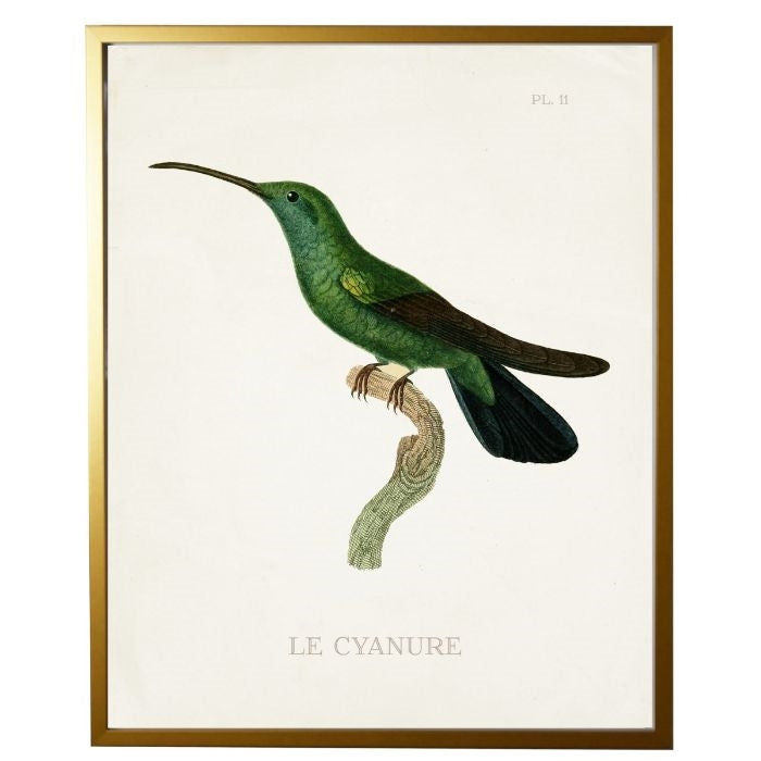 left facing hummingbird wall art