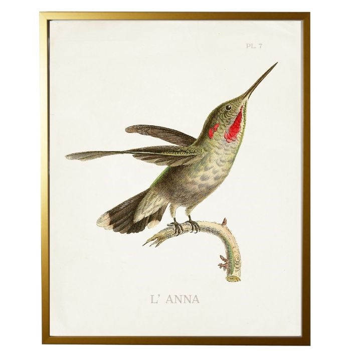 right facing hummingbird wall art