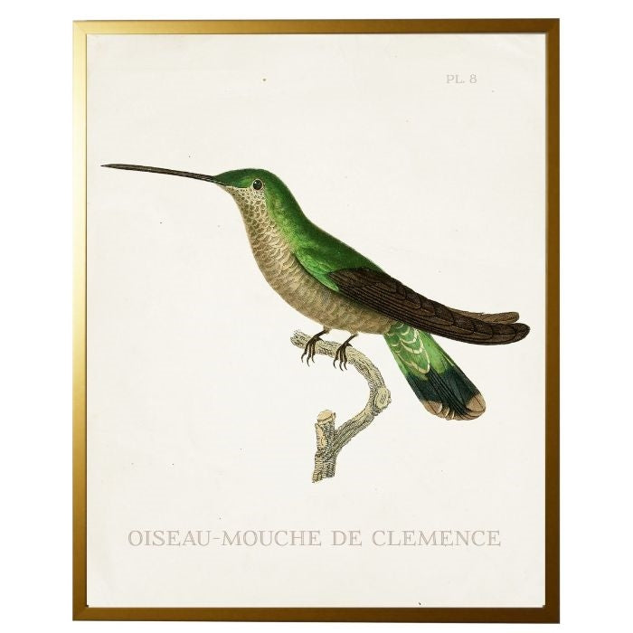 left facing hummingbird wall art