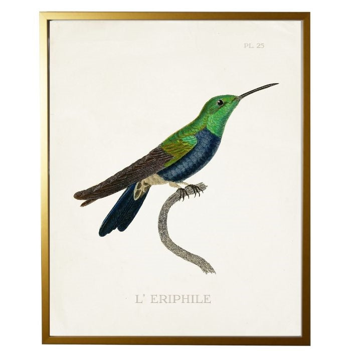 right facing hummingbird wall art