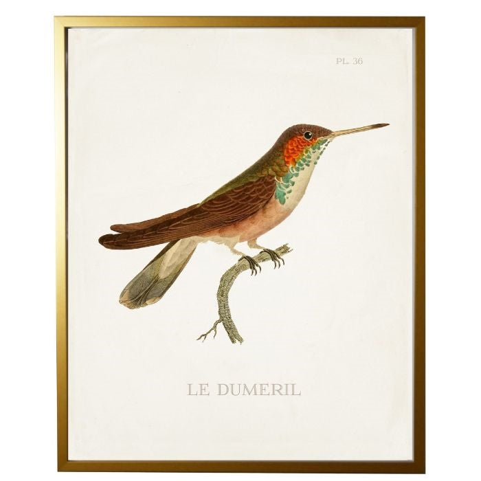 right facing hummingbird wall art