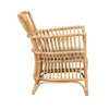 rattan arm chair cream seat cushion