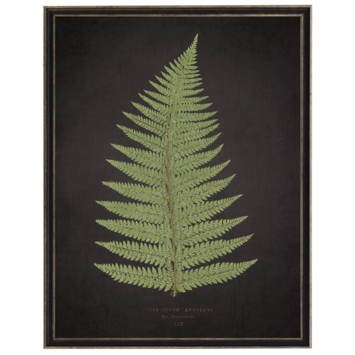fern on black wall art