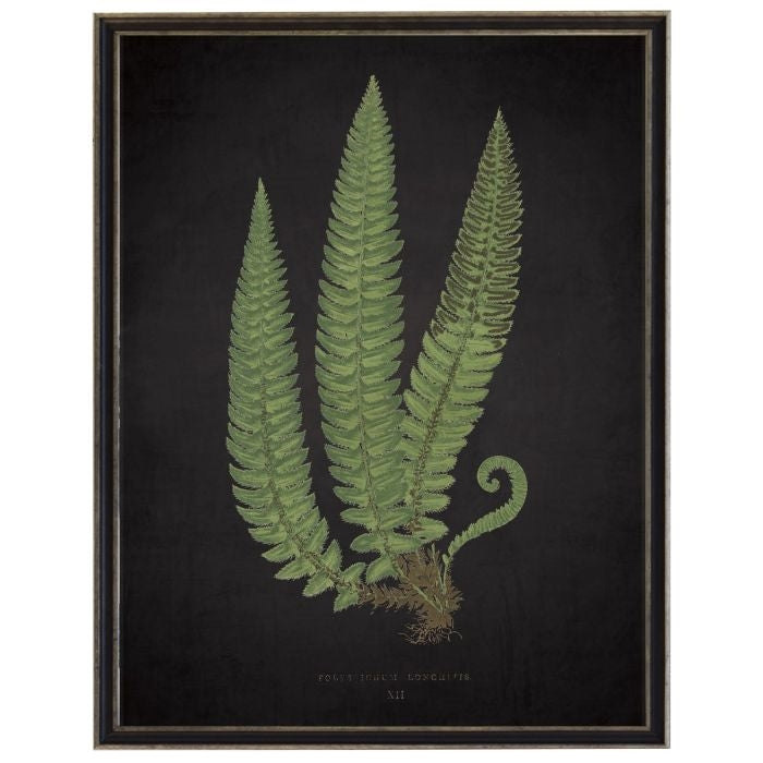fern on black wall art