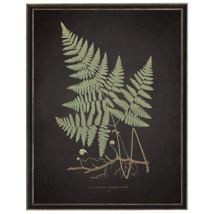 fern on black wall art