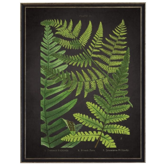 fern on black wall art