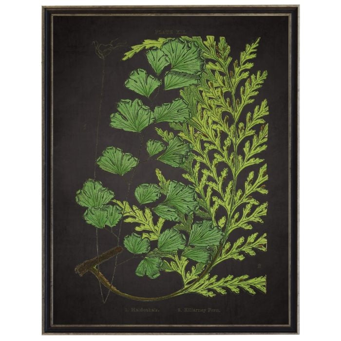 fern on black wall art