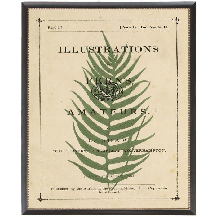 fern wall art