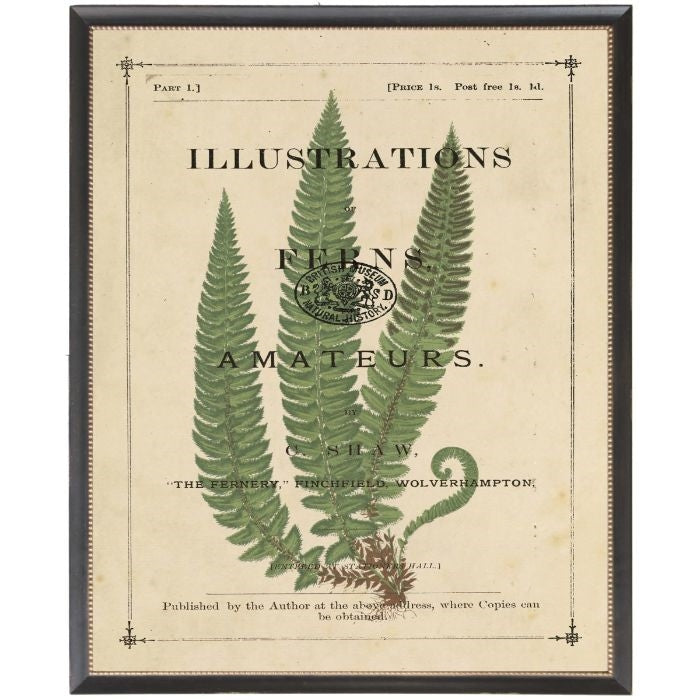 fern wall art