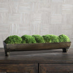 bronze footed tray preserved moss