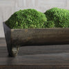 bronze footed tray preserved moss