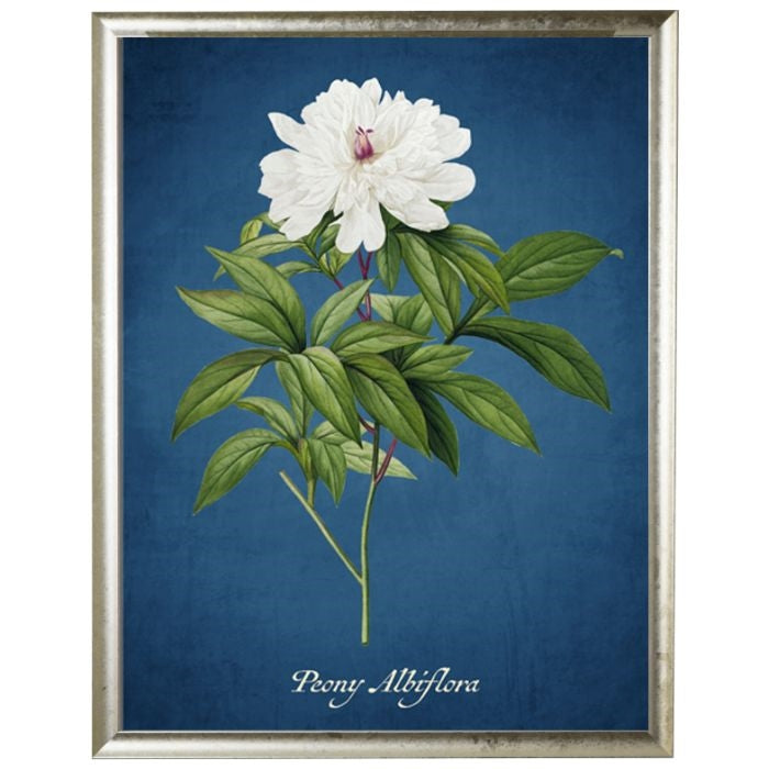 Peony Floral Wall Art on Navy
