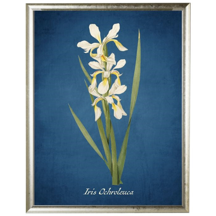 Iris Floral Wall Art on Navy