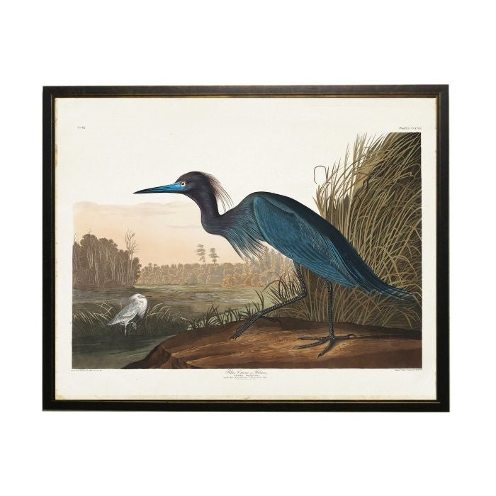 seagull navy heron coastal framed wall art