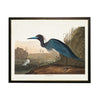 seagull navy heron coastal framed wall art