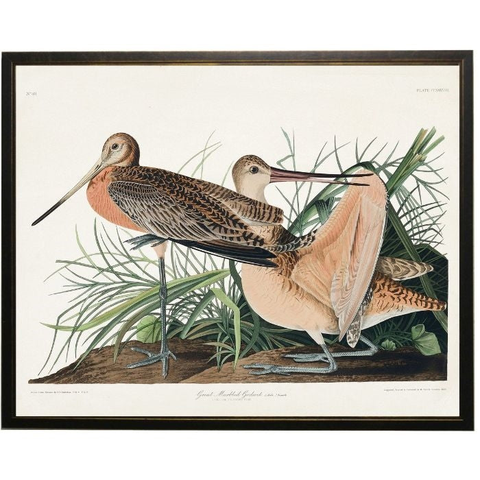 framed wall art shadowbox peach marbled godwit