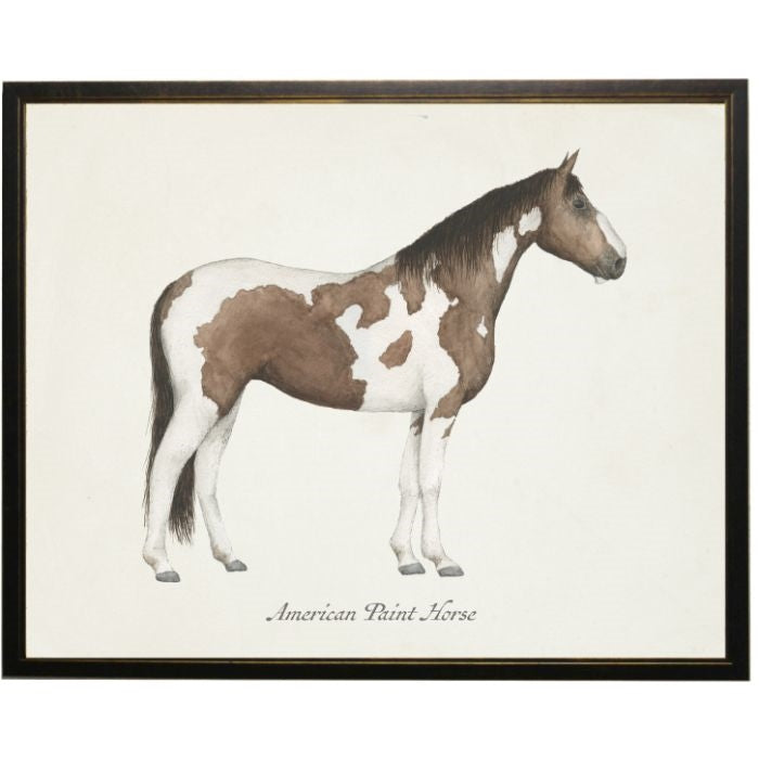 American Painted Horse Wall Art