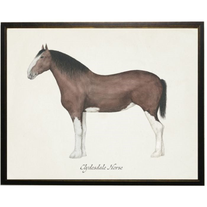 Clydesdale Horse Wall Art