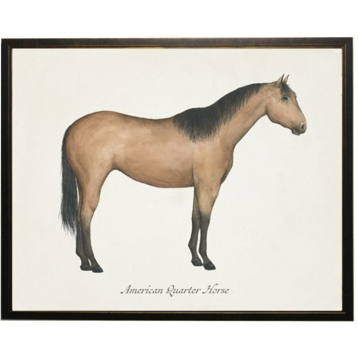 American Quarter Horse Wall Art