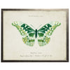Vintage Butterfly Wall Art