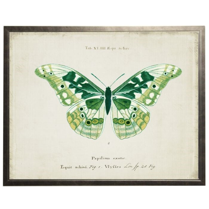 Vintage Butterfly Wall Art