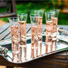 champagne flutes clear accents glass set contemporary