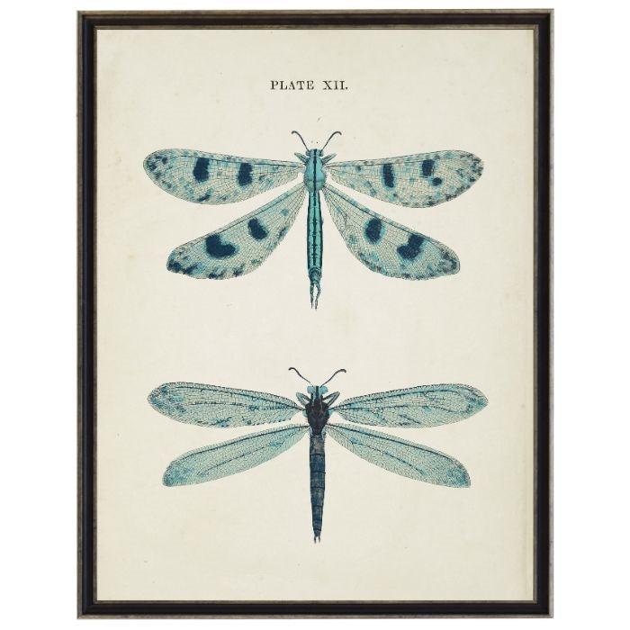 Vintage Dragonfly Wall Art