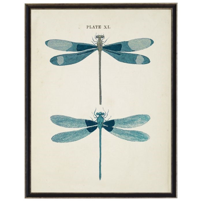 Vintage Dragonfly Wall Art