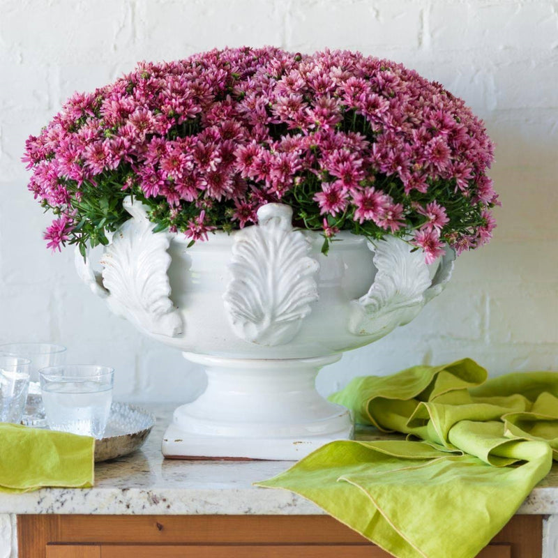 white bowl pedestal acanthus leaves round