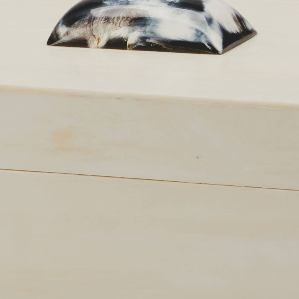 cream resin faux horn decorative box 